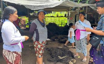 Bawaslu Gianyar Lakukan Uji Petik DPB, Wujudkan Data Pemilih yang Akurat dan Berkualitas